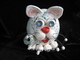 kitty cat